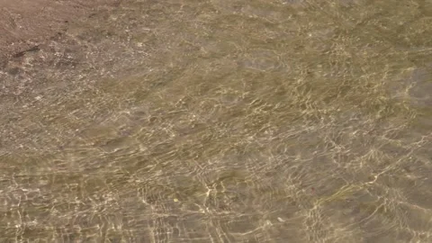 Sandy shore Stock Footage 319840689