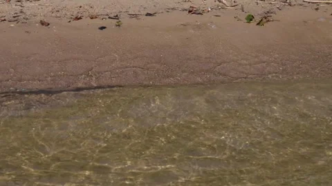 Sandy shore Stock-Footage 319840730
