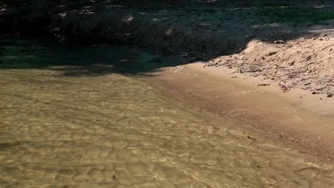 Sandy shore Stock-Footage 319840848