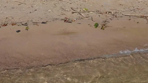 Sandy shore Stock-Footage 319841135