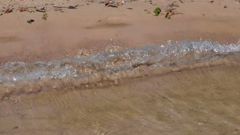 Sandy shore Stock-Footage 319841252
