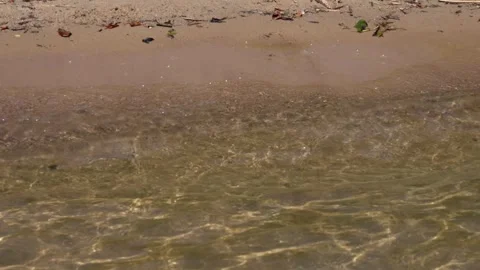 Sandy shore Stock Footage 319841343
