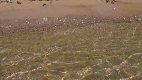 Sandy shore Stock-Footage 319841532