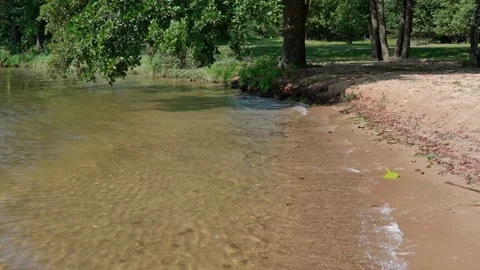 Sandy shore Stock Footage 319841670