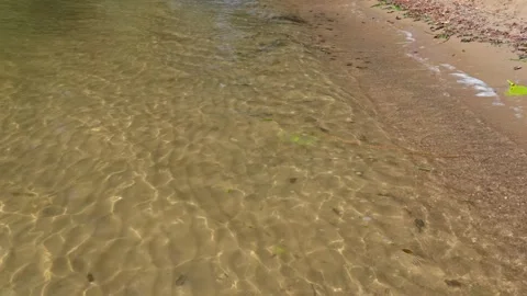 Sandy shore Stock Footage 319841694