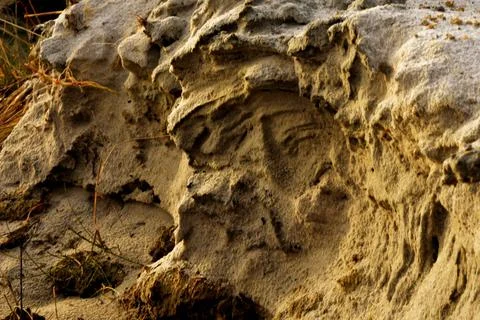 Sandy shore in the rays of the setting sun. Stock Photos