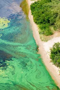 On the sandy shore, on the surface of the river, there is a thick veil of blu Stock Photos
