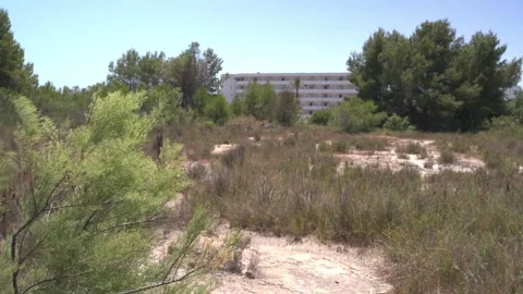 Sandy Shoreline Path Through Wetland Vegetation, Maristany, Mallorca Stock Footage 340589651