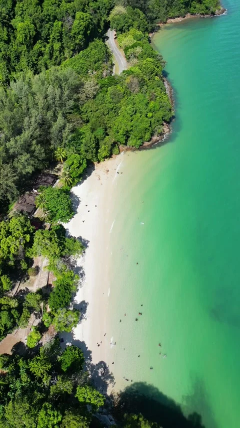 Sandy Skulls Beach Stock Footage 329677907