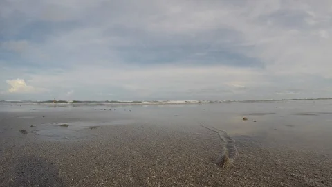 Sandy Snail crawling under the sand Stock Footage 102486524