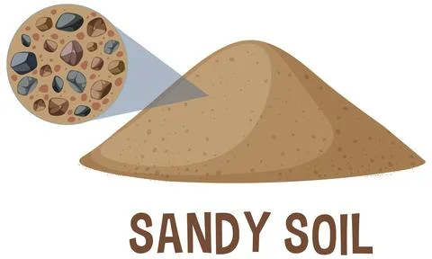 Sandy Soil Composition Vector Illustration Stock Illustration