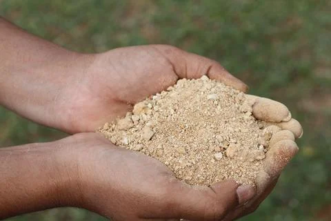 Sandy soil in hand 스톡 사진