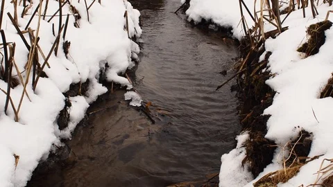 Sandy stream in the winter Stock Footage 108641934