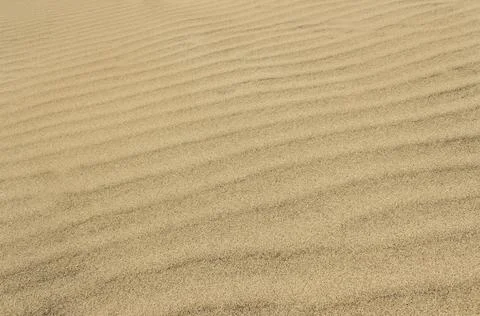 Sandy surface Stock Photos