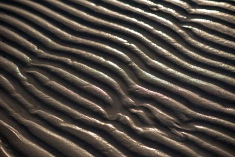 Sandy surface with waves, wood pattern, metal, tire, soil, aeolian landform Stock Photos