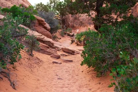Sandy Terrain on Devils Garden Trail in Utah Stock Photos