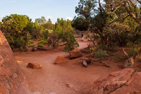 Sandy Terrain on Devils Garden Trail in Utah Stock Photos