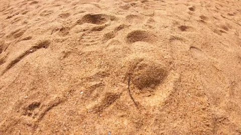 Sandy terrain showing gradual texture changes, highlighting footprints Stock Footage 321741753