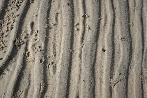 Sandy texture of art 库存照片