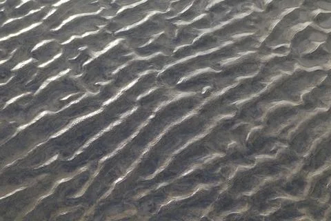 Sandy Texture in Beach Stock Photos