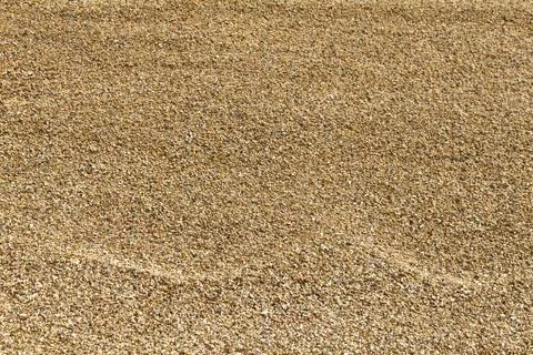 Sandy texture Stock Photos