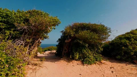 Sandy Trail Through Coastal Bushes Leading to Ocean View Stock-Footage 340463892