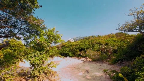 Sandy Trail Through Coastal Scrubland with Prickly Pear Cactus Video stock 340463939