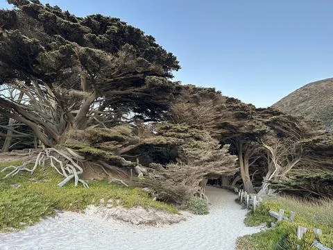 Sandy trail through dramatic nature scene Stock Photos