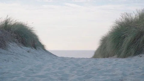 Sandy transition to the ocean with dune grass on the sides Stock Footage 97380024
