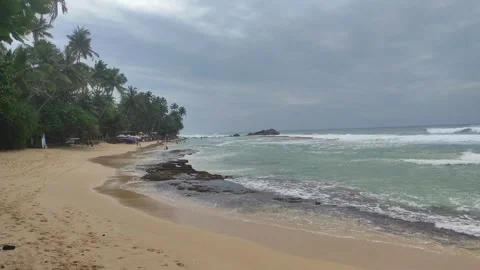 Sandy tropical beach with lush greenery and palm trees on a cloudy day. Stock Footage 299612680