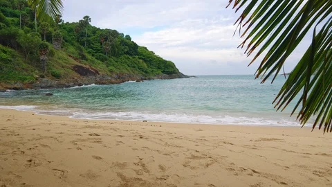 Sandy tropical beach with palm trees, rest and travel on the islands Stock Footage 92929010