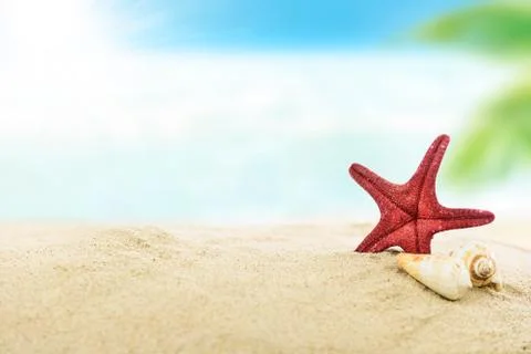 Sandy tropical beach Stock Photos