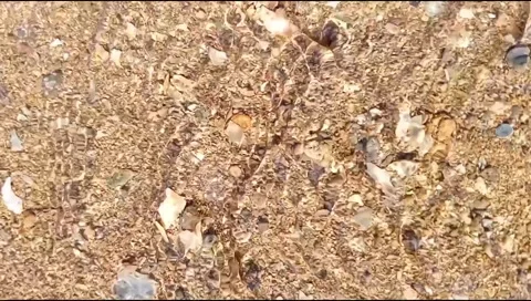 The sandy water flow on the beach is beautiful, unique and rare 库存影片 277812363