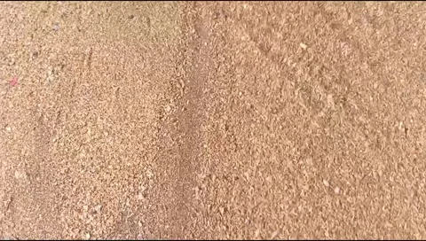 Sandy water flow on the beach Stock Footage 277809979