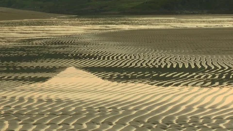 Sandy wet beach at low tide and water with light reflections. Stock Footage 74481894