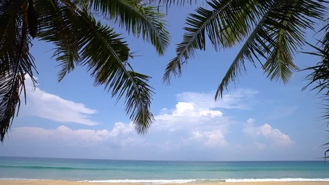 Sandy white beach wave turquoise water with coconut palm tree Stock Footage 112556102