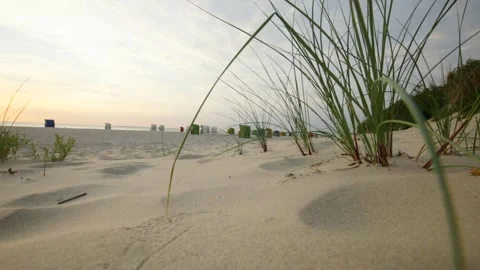 Sandy white dunes with beach grass. Sea coast  and Beach cabins of the North Sea Stock Footage 260638358