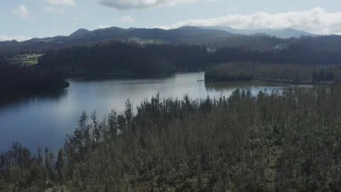 Sandynulla Lake Surrounded by Forest and Hills, Sholur, Ooty, Tamil Nadu, India Video stock 331978687