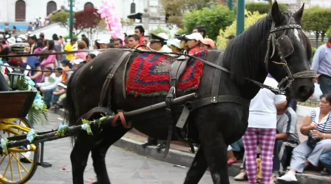 The Sangolqui Fiestas, September 2010 Stock Footage
