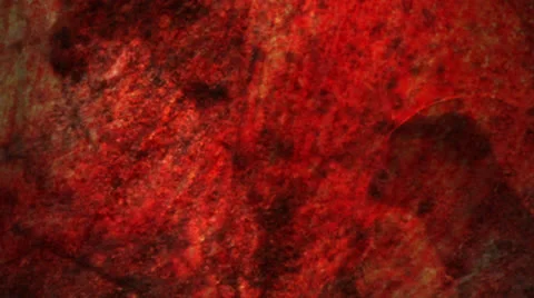 Sanguinary Escape Stock Footage 25636589