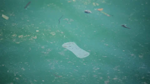 Sanitary pad floating in polluted turquoise seawater Video stock 337022663