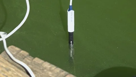 Sanitary service officer testing river water quality during hot summer heatwave. Stock Footage 342118293