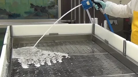 Sanitizing Tank in Fish Hatchery Using Spray Nozzle for Clean Environment Stock Footage 322806651