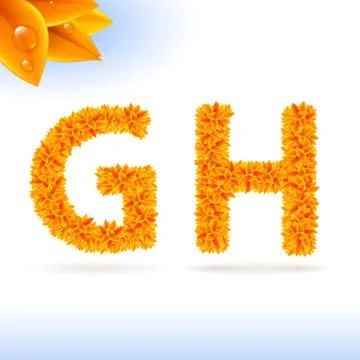 Sans serif font with fall leaf decoration Stock Illustration