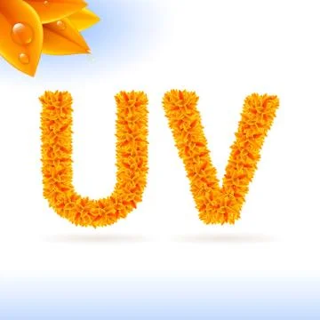 Sans serif font with fall leaf decoration Stock Illustration