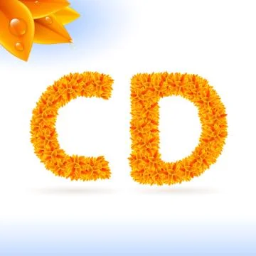 Sans serif font with fall leaf decoration Illustrazione stock