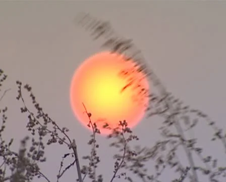 Sanset Stock Footage 8981347