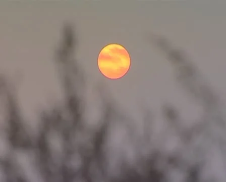 Sanset Stock Footage 8981376