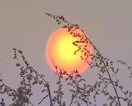 Sanset Stock Footage 8981428