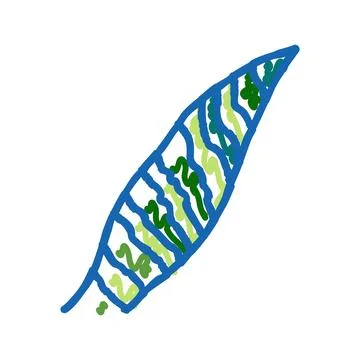 Sansevieria leaf tropical icon doodle illustration Stock Illustration